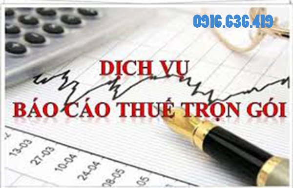 dịch-vụ-báo-cáo-thuế