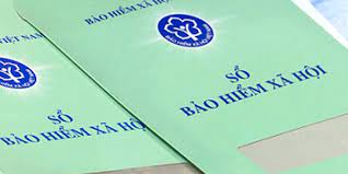 Giám-đốc-công-ty-TNHH-một-thành-viên-có-phải-tham-gia-bhxh-không